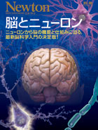 脳とニューロン