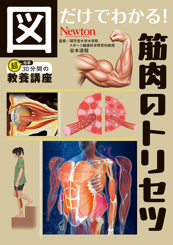 図だけでわかる！
