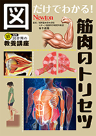 図だけでわかる！ 筋肉のトリセツ
