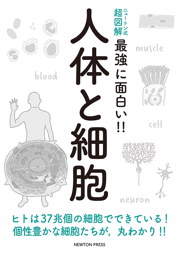 ニュートン式 超図解 最強に面白い!! 人体と細胞
