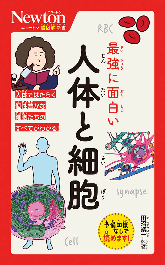 ニュートン超図解新書  最強に面白い 人体と細胞
