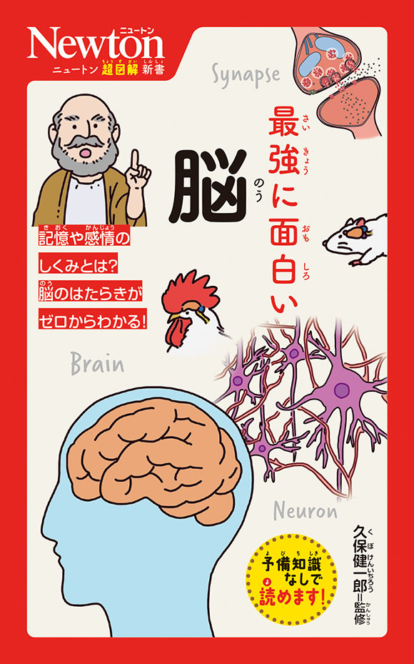 ニュートン超図解新書  最強に面白い 脳 
