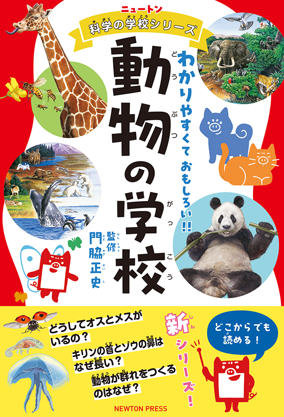 動物の学校
