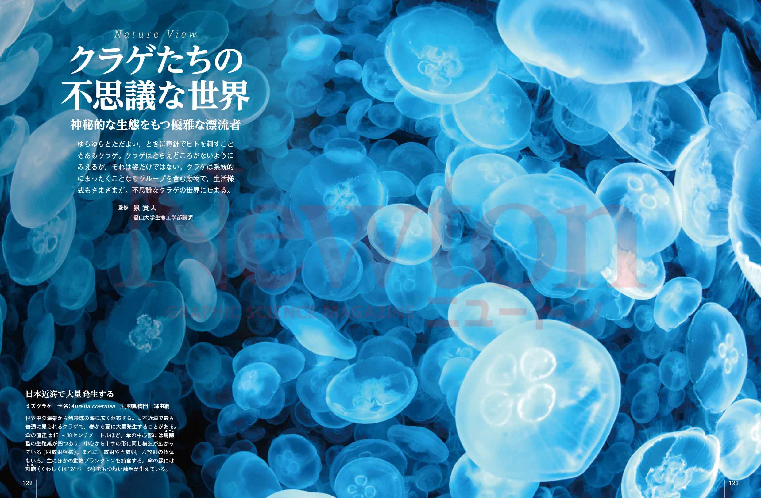 ニュートン　まとめ売り　年間定期購読　科学誌 ニュートン まとめ売り 年間定期購読 科学誌