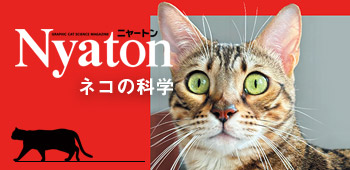 別冊ニャートン ネコの科学　増補版