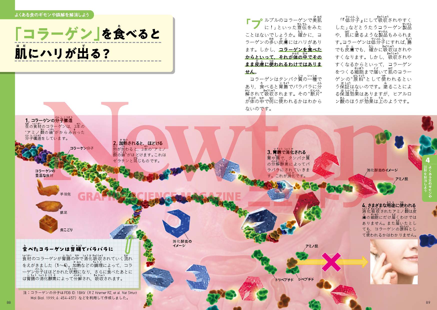 試し読み foodnutrition_2510_4.jpg