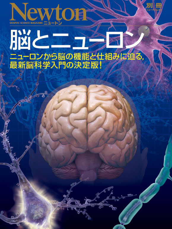 脳とニューロン