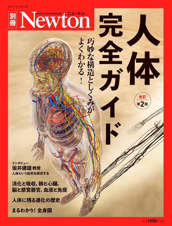 ニュートン別冊 人体 完全ガイド 改訂第2版 ニュートンプレス ニュートン別冊 人体 完全ガイド 改訂第2版 ニュートンプレス
