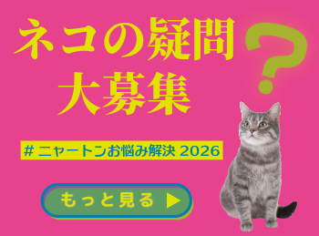 ニャートン ネコの疑問大募集